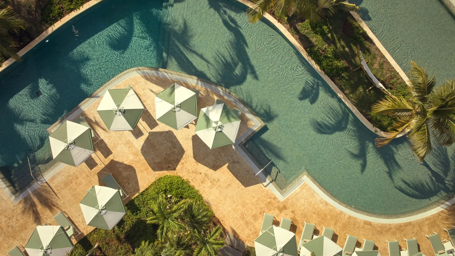 Looking down on a curved swimming pool from above: green and white parasols along a pale stone terrace, sun loungers, and coconut palms throwing long shadows across the water.